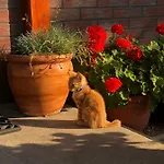 Homestay szállás Sztorm