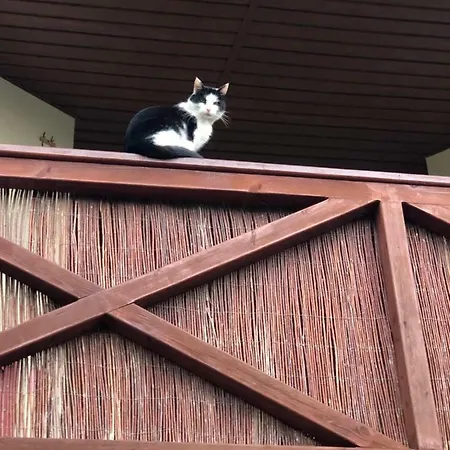 Alloggio in famiglia Sztorm