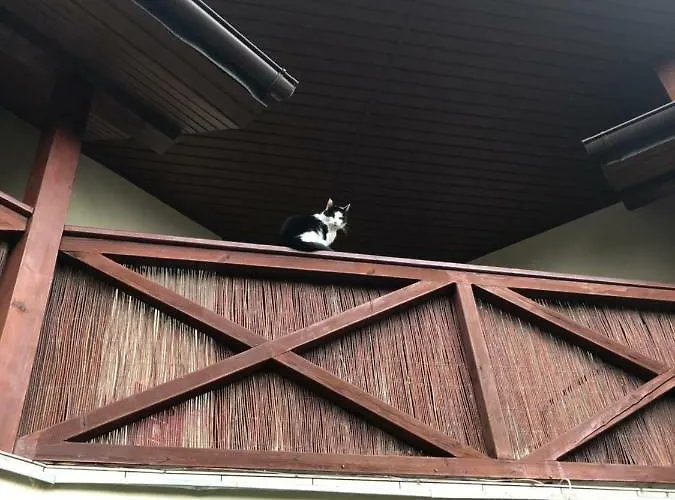 Sztorm 奥斯特罗沃